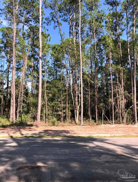 0 Lovewood Dr Unit 611384, Navarre, FL 32566