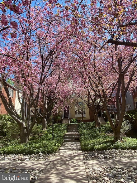 4833 Willett Pkwy, Chevy Chase, MD 20815