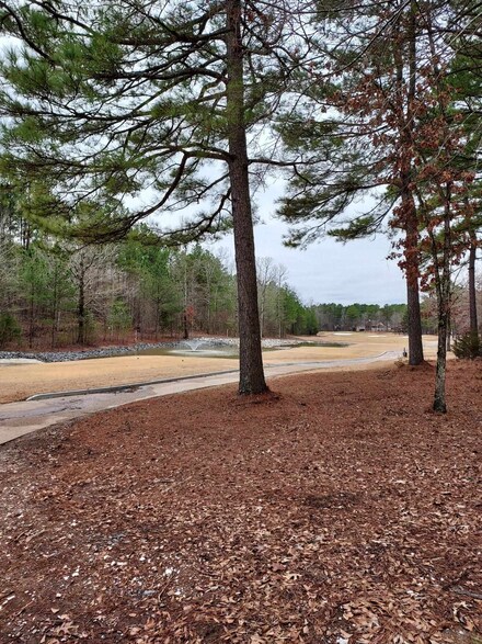 228 Pizarro Dr, Hot Springs Village, AR 71909