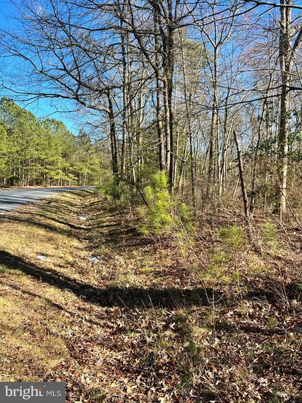 Lot 10 Savannah Rd, Georgetown, DE 19947