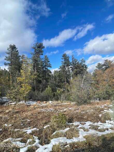 6029 Orion, Lakeside, AZ 85929
