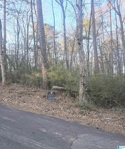 107 Chapel Dr, Bessemer, AL 35023