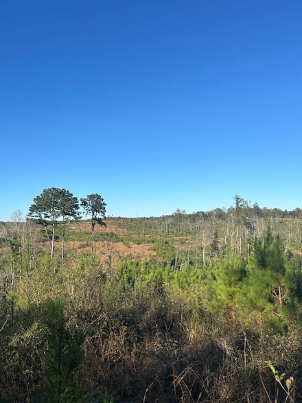0 Mt Carmel Rd Unit 22834285, Millry, AL 36558