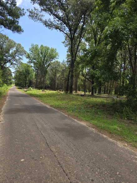 1 Vz County Road 4700, Ben Wheeler, TX 75754