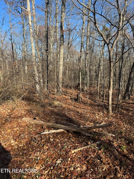 621 Catawba Ln, Crossville, TN 38572