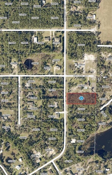0 Chinaberry St Unit MFRO6111107, Eustis, FL 32736