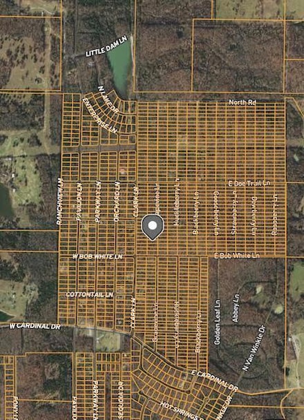 1317 Grapevine Ln, Horseshoe Bend, AR 72512