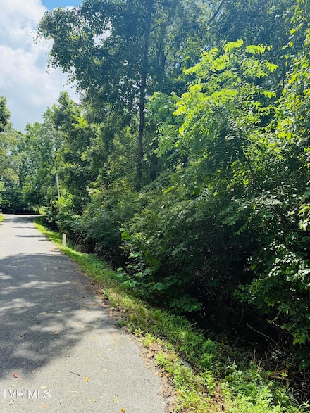 0 Log Cabin Ln Unit 9983349, Johnson City, TN 37615