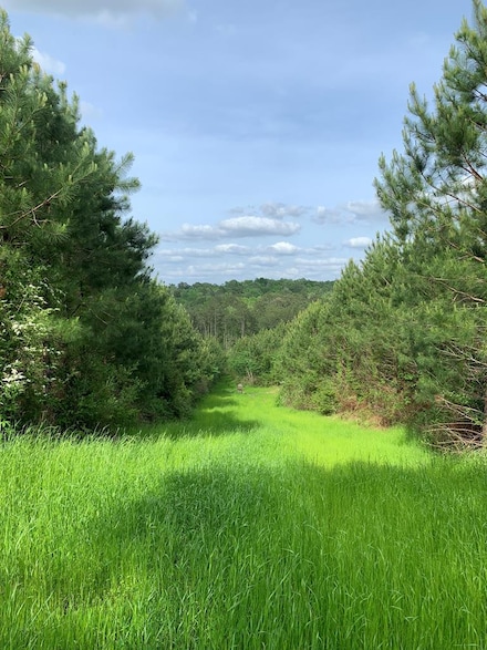 . Macedonia Rd, Centreville, MS 39631