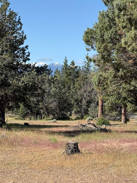 Lot 96 Harbor View Unit 1, Weed, CA 96094