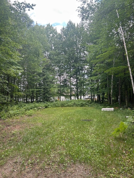 Lots 64 & 65 Todd Dr, Skidway Lake, MI 48756