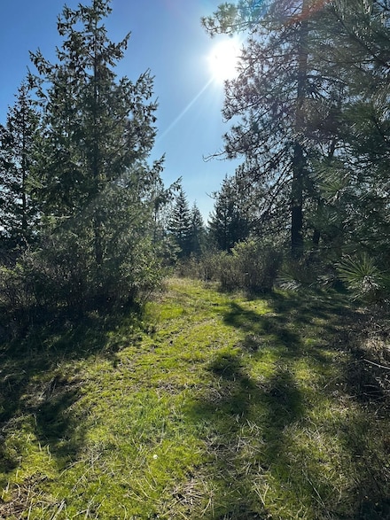 0 Tbd Waldrons Ln, Chattaroy, WA 99003
