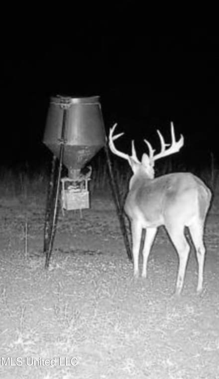 0 Mississippi 444, Shelby, MS 38740