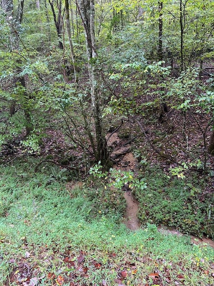 00 Johnsonville Rd, Murphy, NC 28906