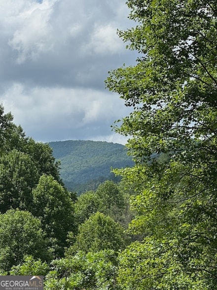 0 Big Creek Rd Unit 10544732, Ellijay, GA 30536