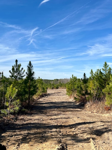 1004 Field Trial Rd, Camden, SC 29020