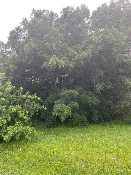 312 Nogales St, Fort Myers, FL 33916