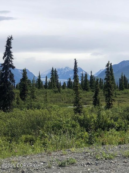 51384 S Summit Loop, Remote, AK 99000