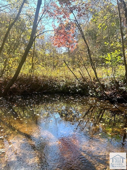 00 Saddleridge Rd, Bassett, VA 24055