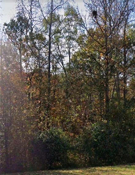 2412 Snowshoe Bend, Bethlehem, GA 30620