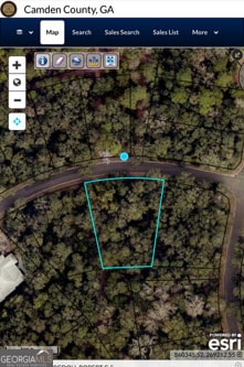 203 Cobia Ln, St. Marys, GA 31558