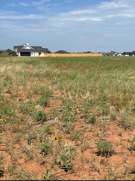 125 Sparrow Hills Ln, Tuscola, TX 79562