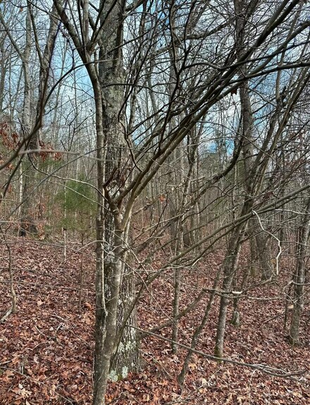 0 Grasshopper Rd Unit 1504814, Birchwood, TN 37308