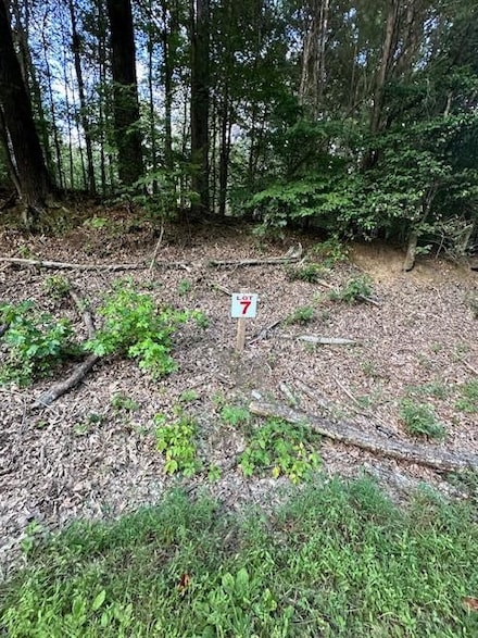 7 Sales Landing Rd, Camden, TN 38320