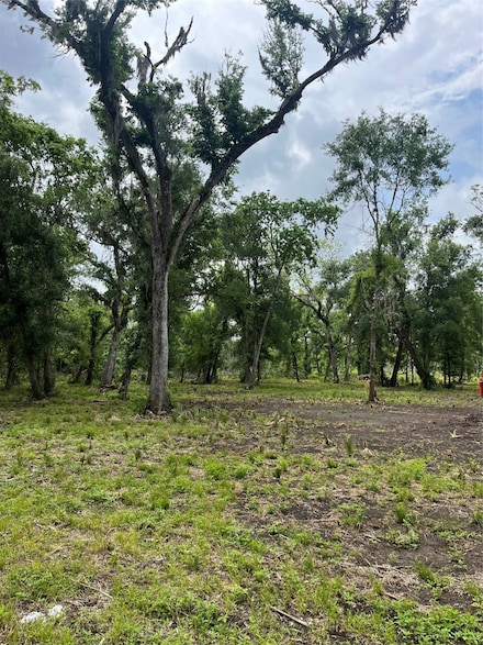 4227 County Road 347, Brazoria, TX 77422