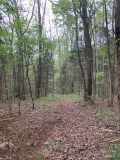 8.21 Acres State Road S-46-724, Rock Hill, SC 29730