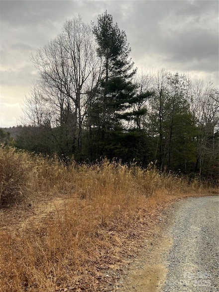 000 Dogwood Ln Unit D4, Penrose, NC 28766
