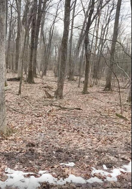 0 Traverse Rd Unit 708 746743, Henryville, PA 18332