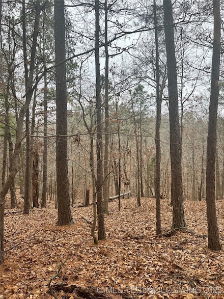 0 Deer Path Rd Unit 2549126, Kansas, OK 74347