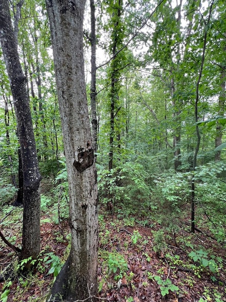 0 Crestview Dr, Rustburg, VA 24588