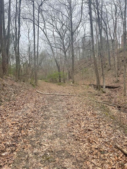 4891 Spring Rd, Huntington, WV 25705