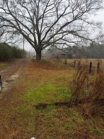 1245 Mowdy Rd, Walnut Grove, MS 39189