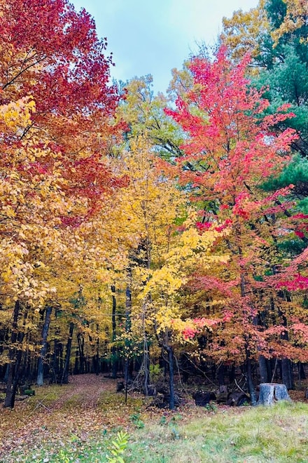 Lot 33 S Badger Ln, Monroe, WI 54613