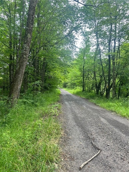 0 South Rd Unit R1598632, Norwich-Town, NY 13832