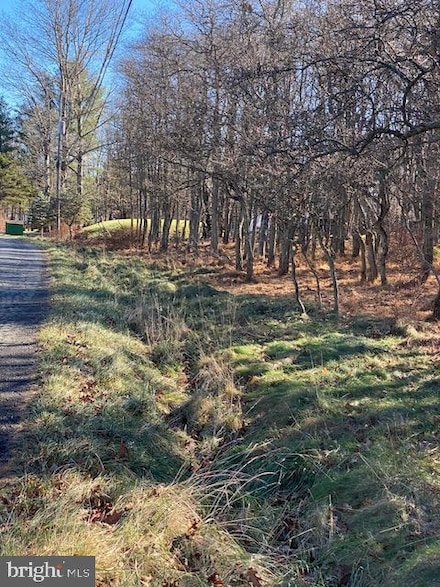 0 Lakeview Dr, Pocono Pines, PA 18210