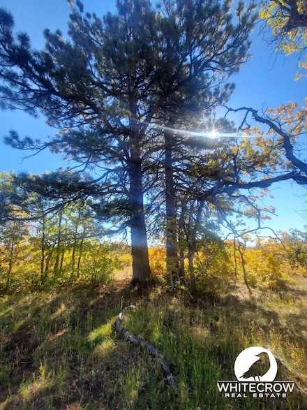 233 N Spring Rd, Kolob, UT 84767