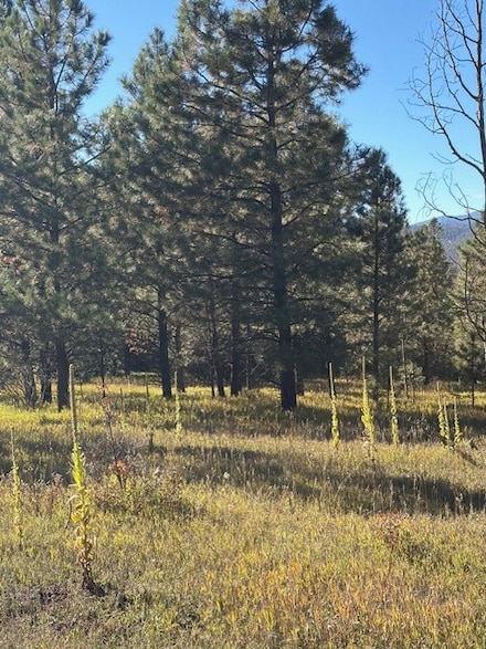 Lot F-2, Section 21 2 024 Acres In El MacHo Canyo, Pecos, NM 87552