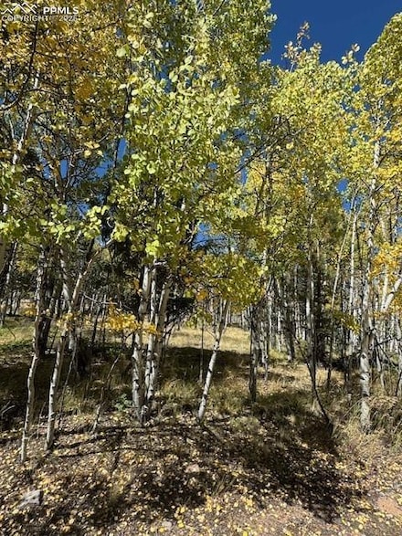 135 Powderhorn Ln, Lake George, CO 80816