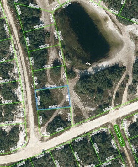 203 Sunway Dr, Lake Placid, FL 33852