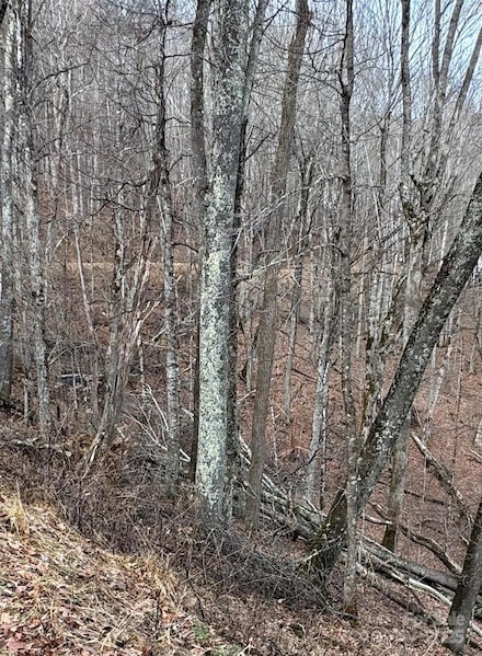 00 Spring Brook Dr Unit 314, Mars Hill, NC 28754