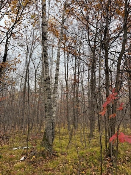 Lot 10 N Silver Birch Dr, Cable, WI 54821