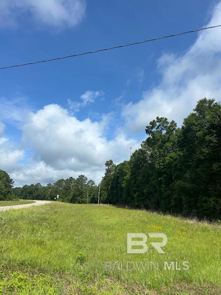 0 Us Highway 29 Unit 380549, East Brewton, AL 36426