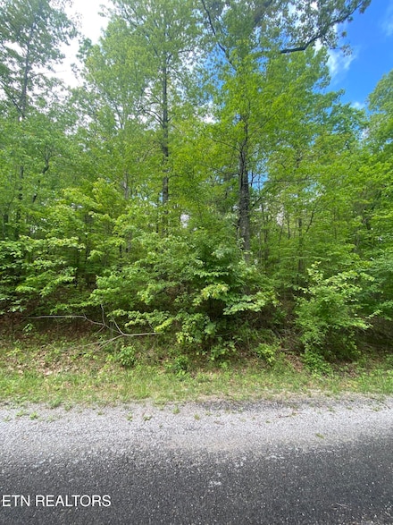 610 Catawba Ln, Crossville, TN 38572