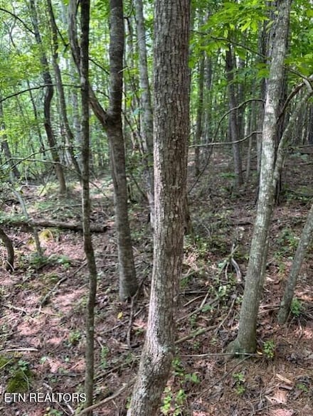 0 Indigo Bunting Dr Unit 1304214, Harriman, TN 37748