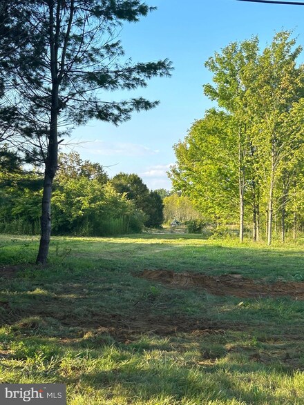 85 White Pine Rd, Crosswicks, NJ 08515