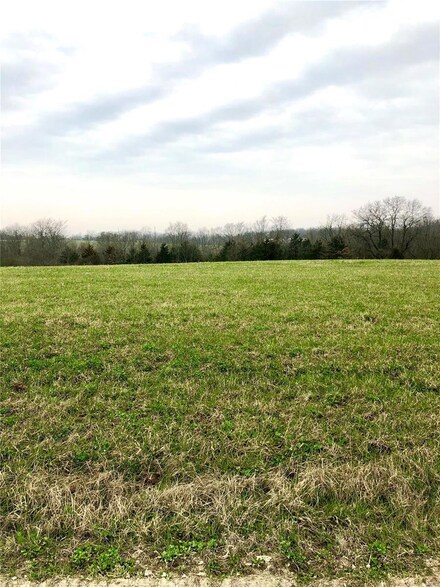 61 Pheasant Pointe Dr, Old Monroe, MO 63369